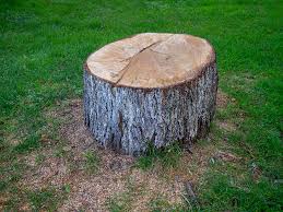Best Lot and Land Clearing  in Maine, WI