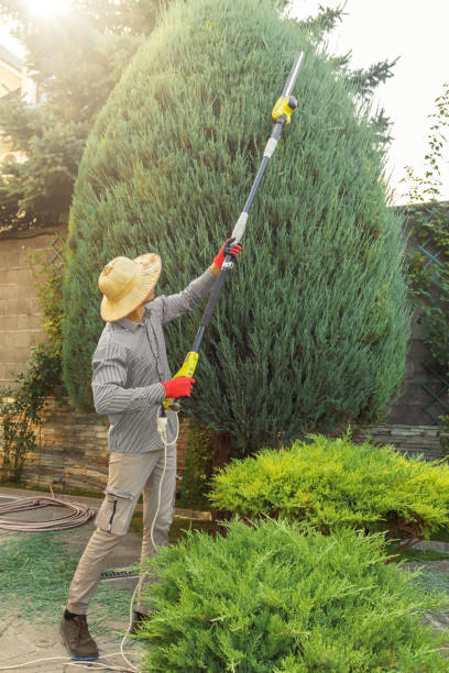 Best Weed Control  in Maine, WI
